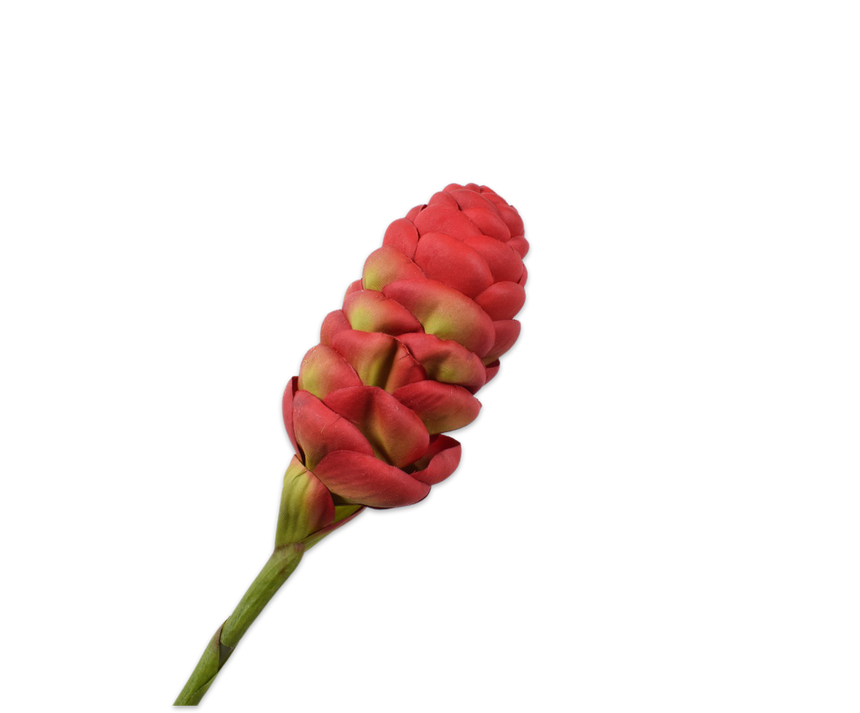 ARTIFICIAL FLOWERS - GINGER STEM RED 69 CM