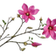 ARTIFICIAL FLOWERS - MAGNOLIA SPRAY BEAUTY 108 CM