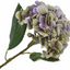 ARTIFICIAL FLOWERS - HYDRANGEA SPRAY PRP/GRN 56 CM