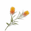 ARTIFICIAL FLOWERS - PROTEA SPRAY YLL/PNK 88 CM